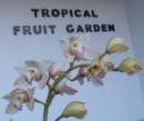 Tropical Fruit Garden - Alojamento Localç na ilha de São Jorge - Açores