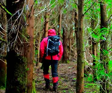 Caminhadas  na Ilha de São Jorge nos Açores