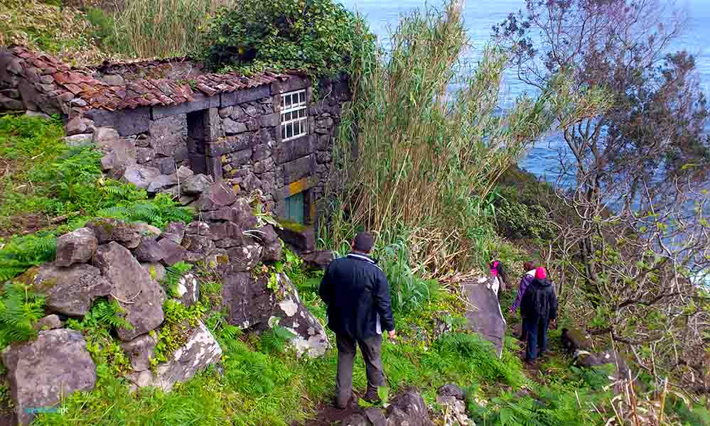 North Route Walking Trails in Sao Jorge island in Azores