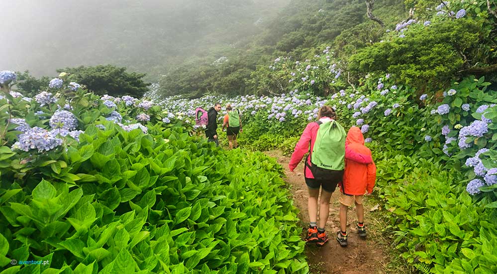 Special Tours in São Jorge Island in Azores